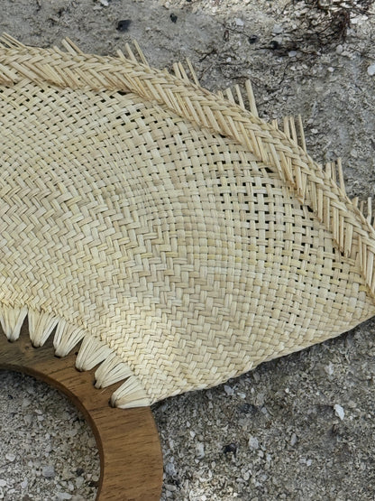 Palmaria Abanico